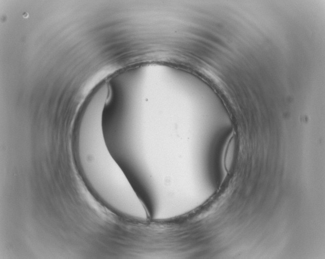 X0000088231034200706051342