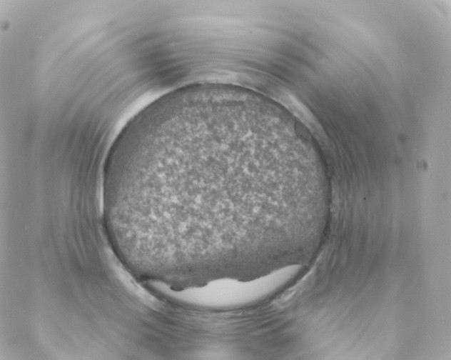 X0000088231036200706051342