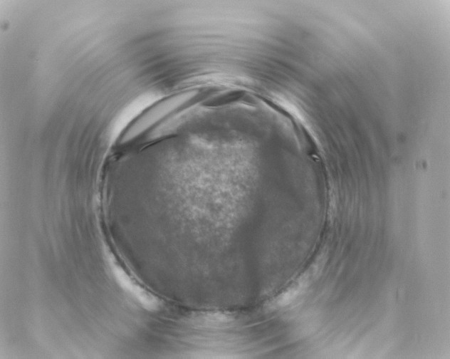 X0000088231042200706051342