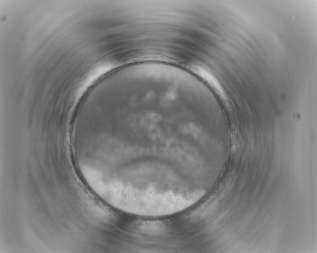 X0000088231043200706051342