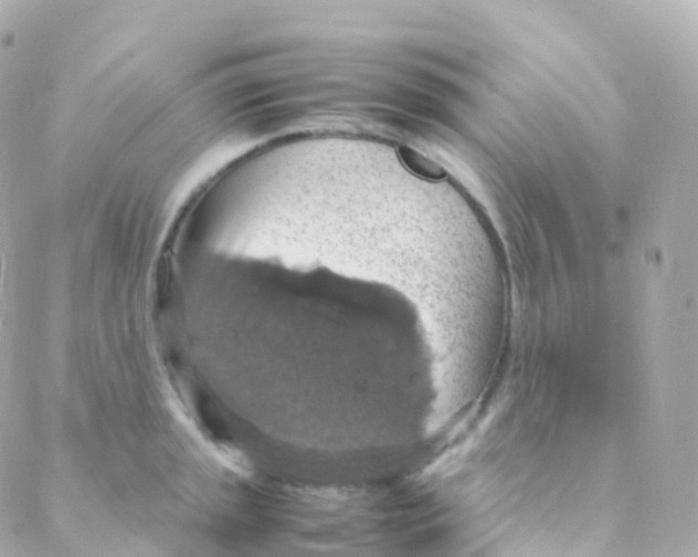 X0000088231045200706051343