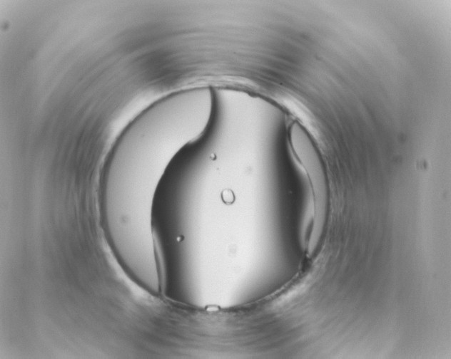 X0000088231046200706051343