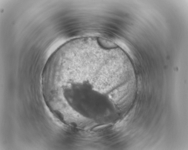 X0000088231047200706051343