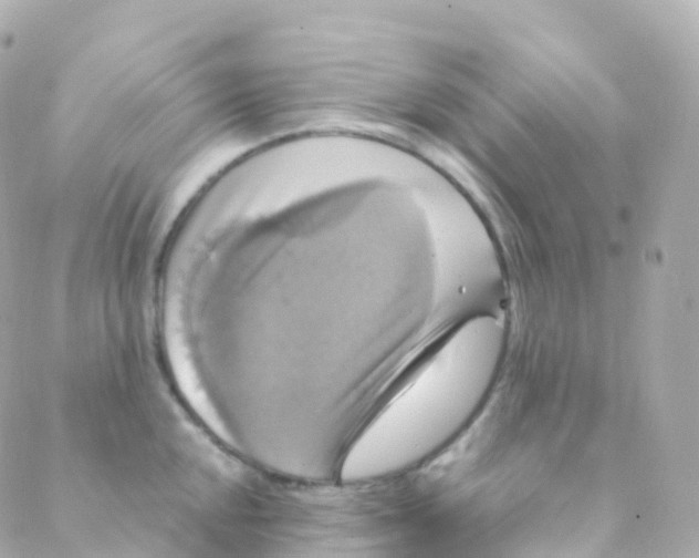 X0000088231048200706051343