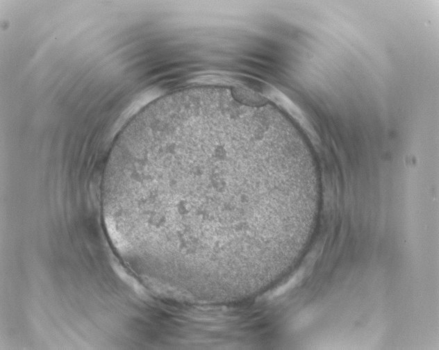 X0000088231049200706051343