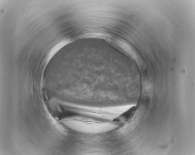 X0000088231050200706051343