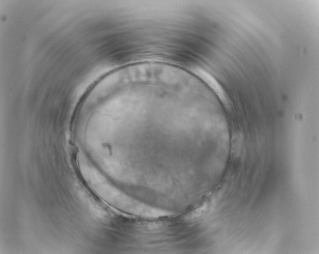 X0000088231051200706051343