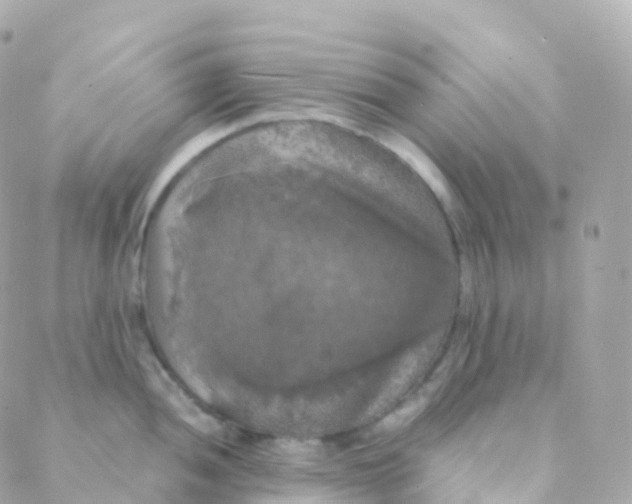 X0000088231052200706051343