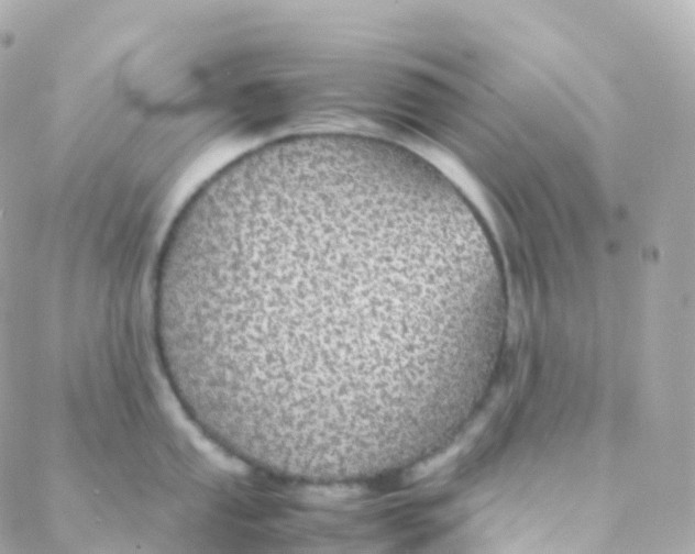 X0000088231053200706051343