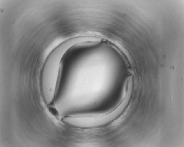 X0000088231054200706051343