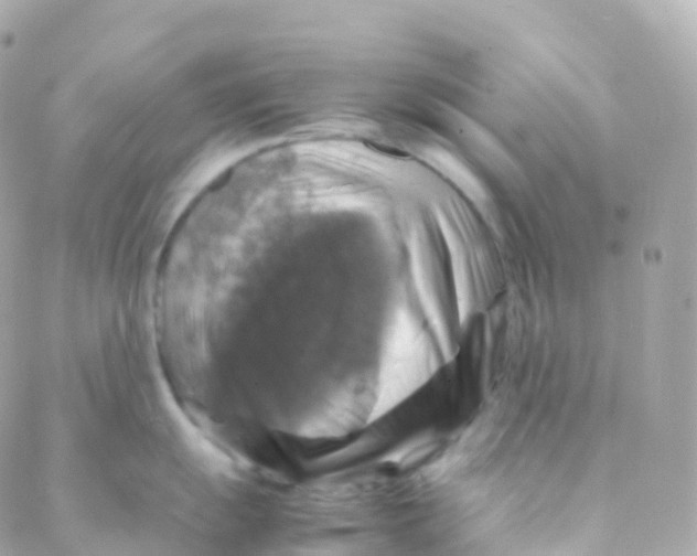 X0000088231055200706051343