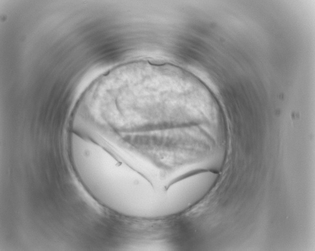 X0000088231056200706051343