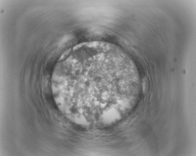 X0000088231059200706051342