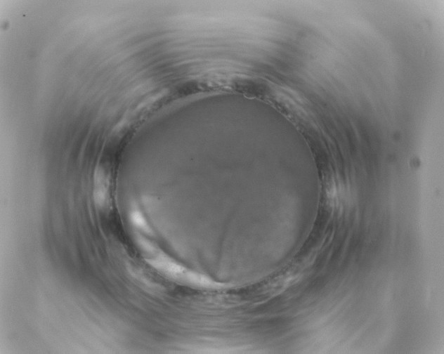 X0000088231060200706051342