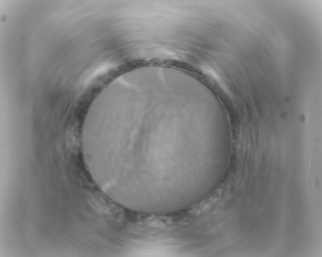 X0000088231063200706051342