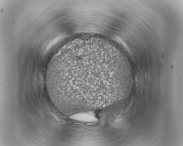 X0000088231064200706051342