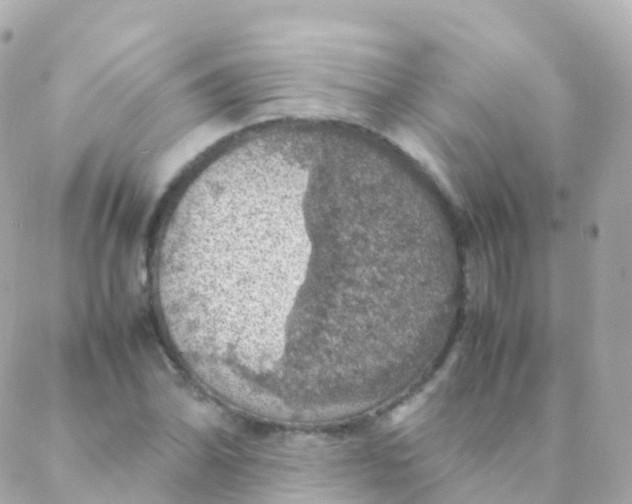 X0000088231070200706051342