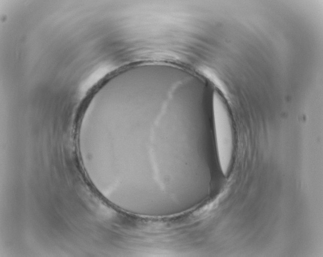 X0000088231071200706051342