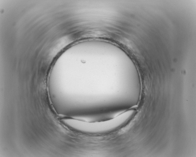 X0000088231073200706051342