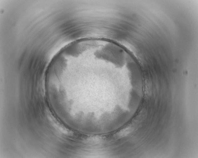 X0000088231078200706051342