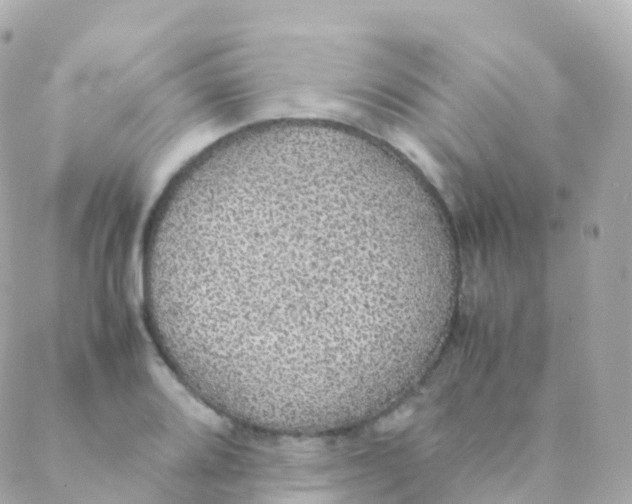 X0000088231080200706051342