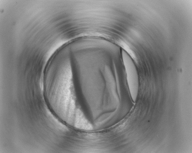 X0000088231084200706051341