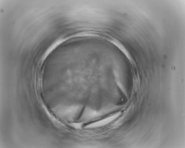 X0000088231101200706051341