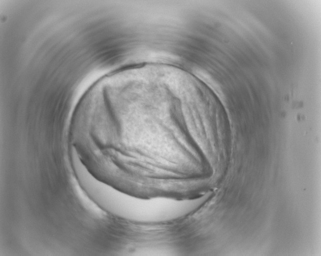 X0000088231152200706051341