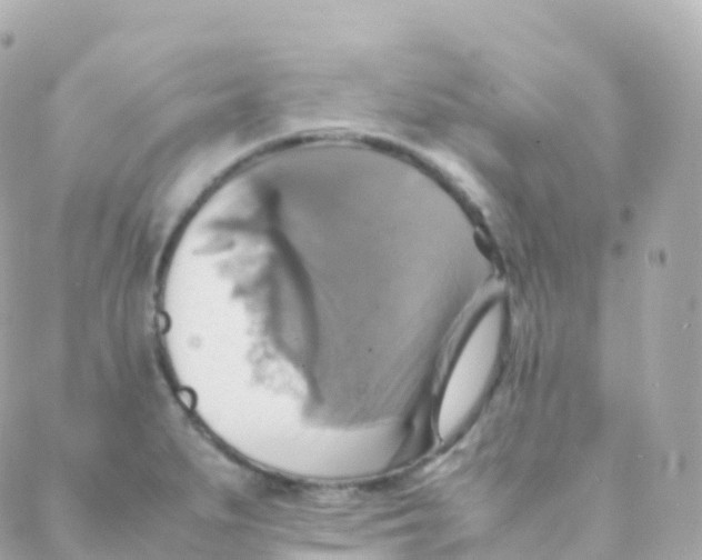 X0000088231279200706051338