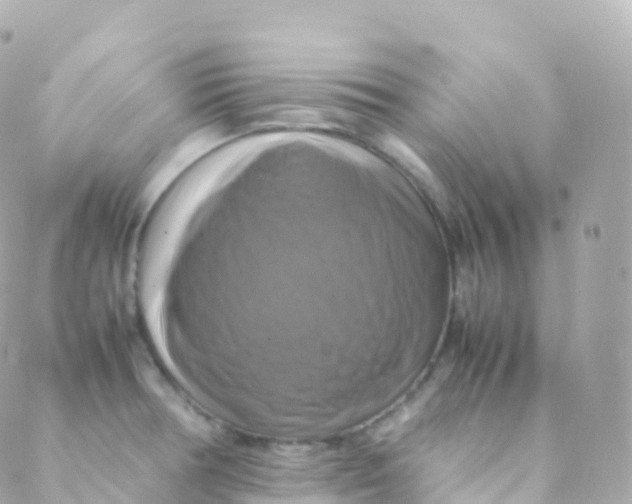 X0000088231378200706051337