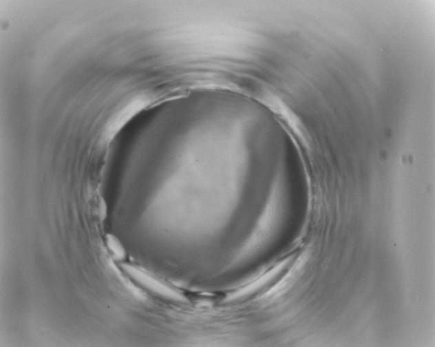 X0000088231385200706051337