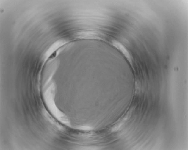 X0000088231386200706051337