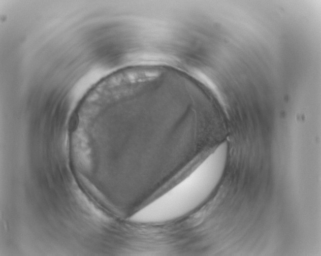 X0000088231472200706051335