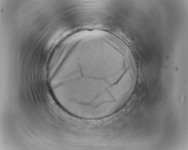 X0000088230002200706121907