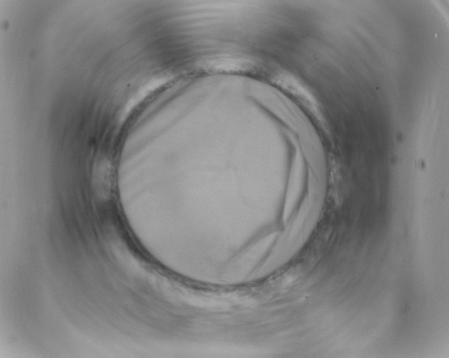 X0000088230012200706121907