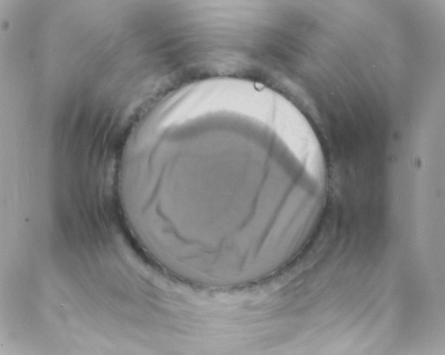 X0000088230018200706121907