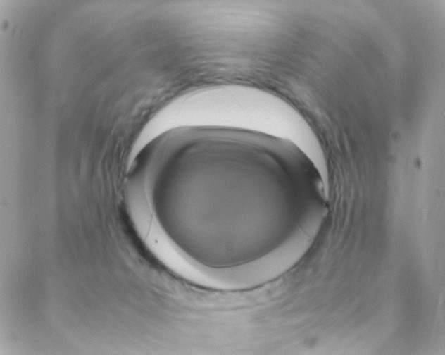 X0000088230031200706121907