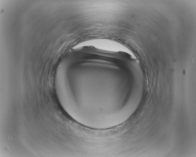 X0000088230035200706121907