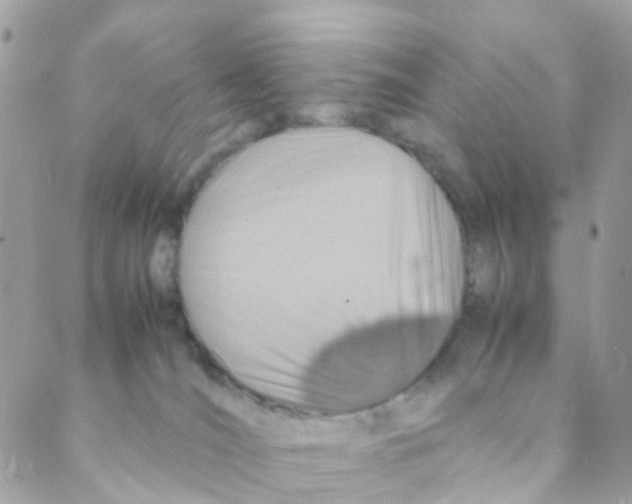 X0000088230036200706121907
