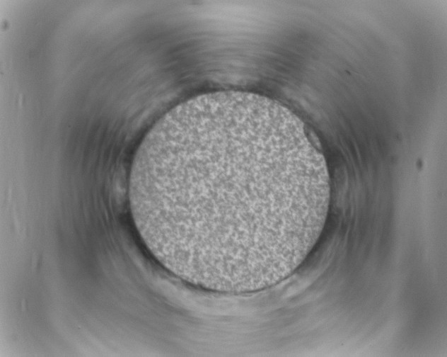 X0000088230040200706121907