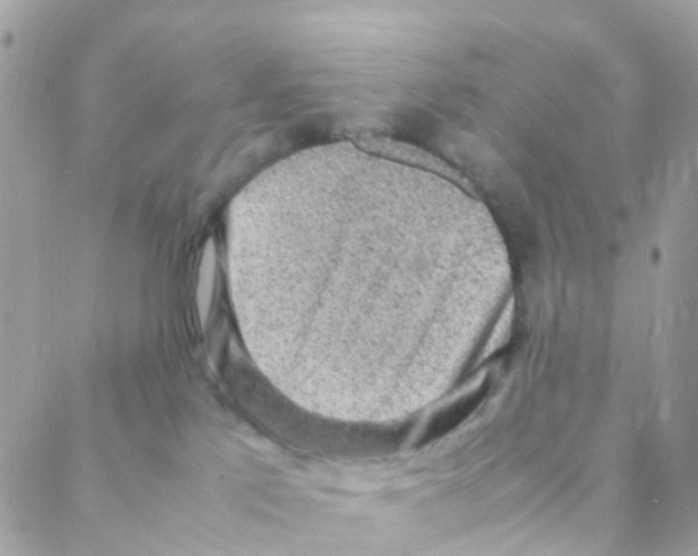 X0000088230041200706121907