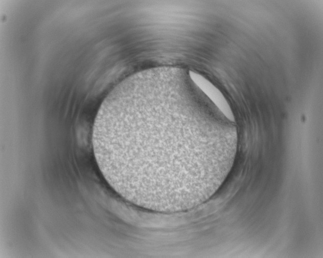 X0000088230044200706121907