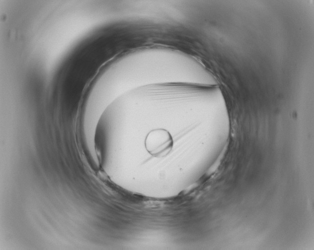 X0000088230052200706121906
