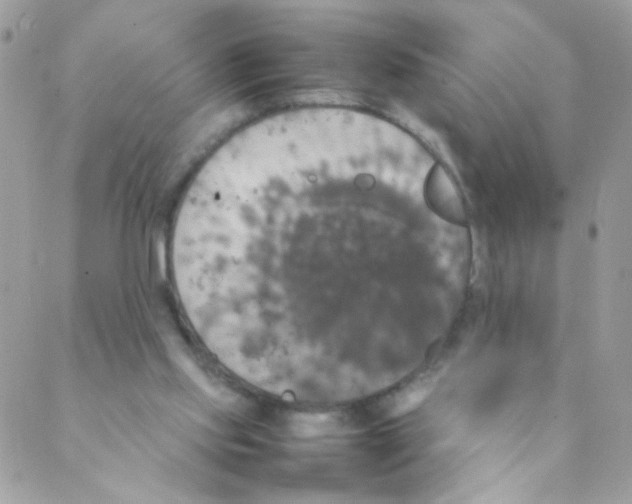 X0000088230061200706121906