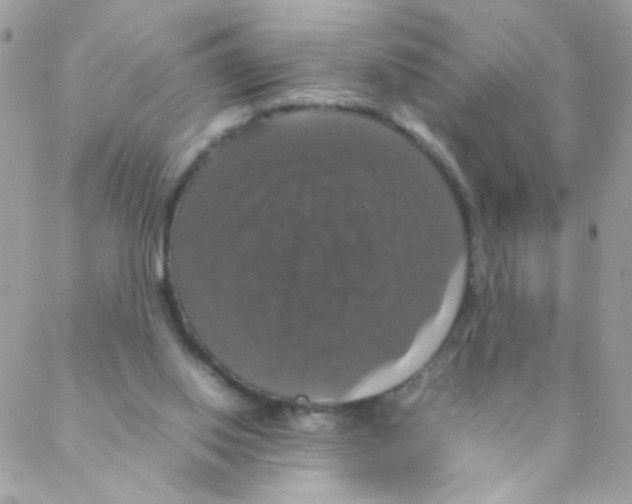X0000088230062200706121906