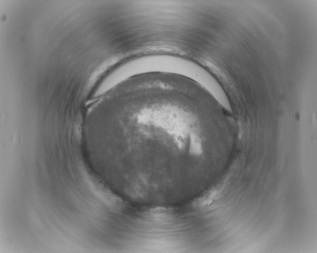 X0000088230064200706121906