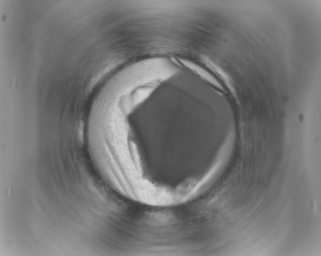 X0000088230067200706121906