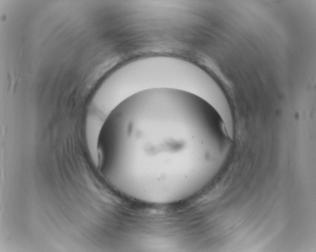 X0000088230068200706121906