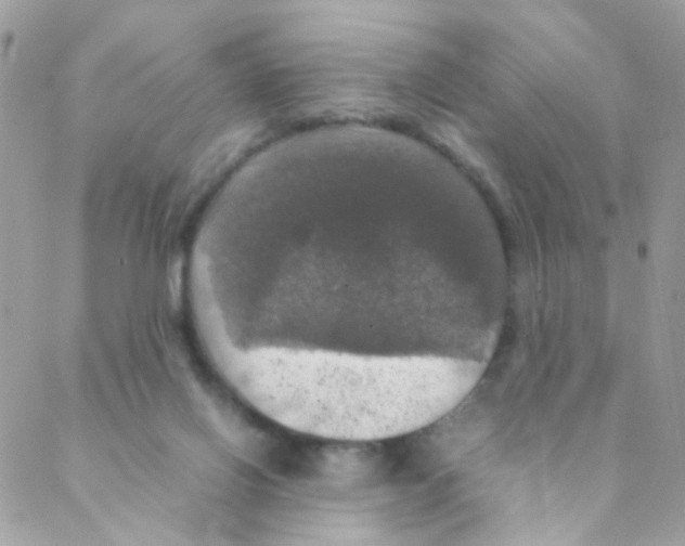 X0000088230070200706121906