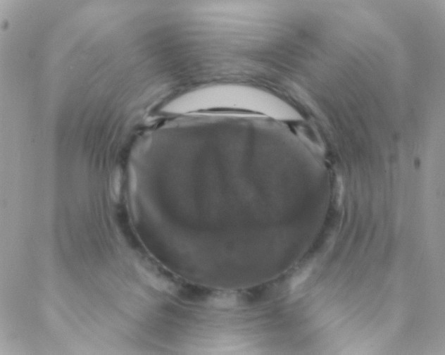 X0000088230076200706121906
